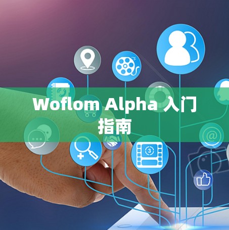 Woflom Alpha 入门指南