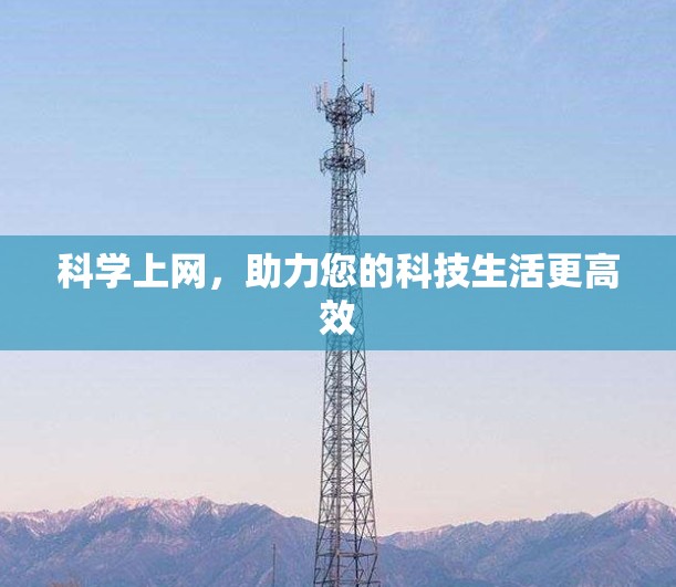 科学上网，助力您的科技生活更高效