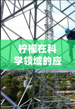 柠檬在科学领域的应用是一个多方面的研究领域，主要涉及以下几个方面