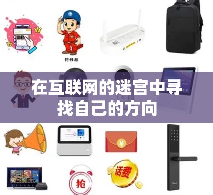 在互联网的迷宫中寻找自己的方向