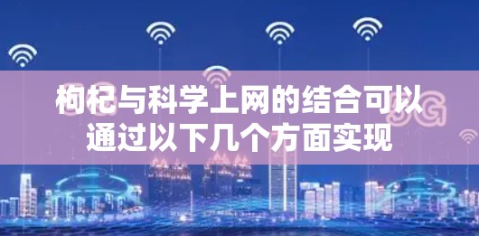枸杞与科学上网的结合可以通过以下几个方面实现