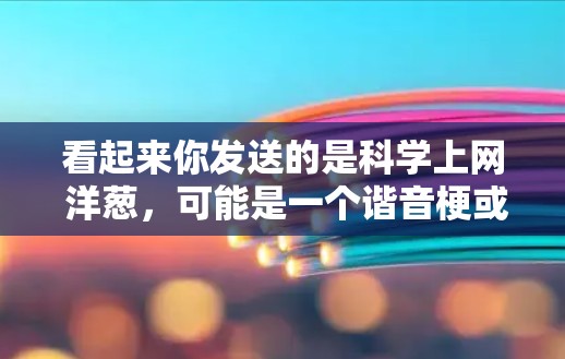 看起来你发送的是科学上网 洋葱，可能是一个谐音梗或玩文字游戏。让我先确认一下这个组合的意思