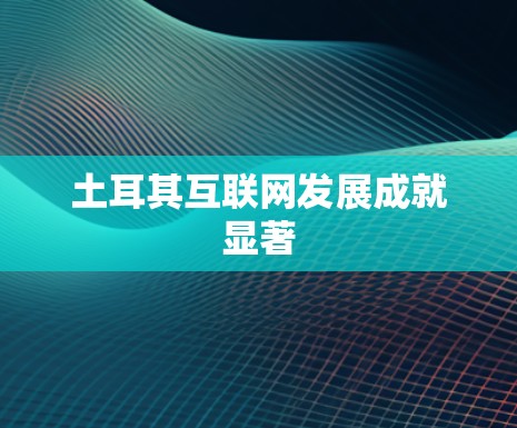 土耳其互联网发展成就显著