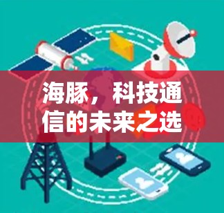 海豚，科技通信的未来之选