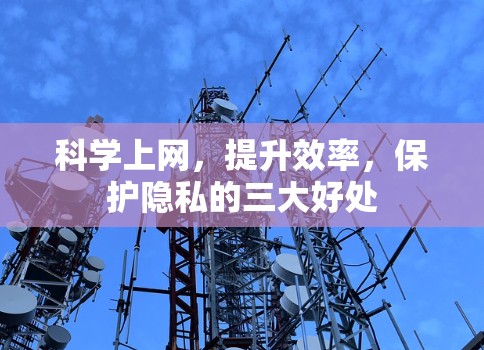 科学上网，提升效率，保护隐私的三大好处