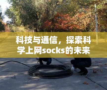 科技与通信，探索科学上网socks的未来