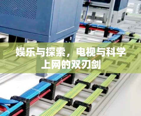 娱乐与探索，电视与科学上网的双刃剑