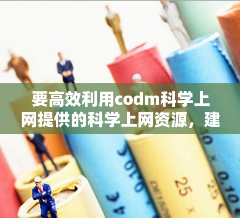 要高效利用codm科学上网提供的科学上网资源，建议按照以下步骤进行
