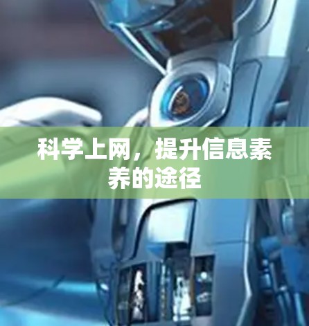 科学上网，提升信息素养的途径