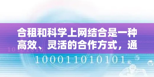 合租和科学上网结合是一种高效、灵活的合作方式，通过双方的协作实现资源的共享和使用，降低各自的工作负担。以下是对这一合作的详细分析