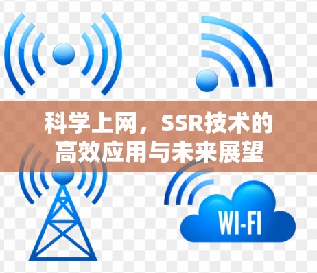 科学上网，SSR技术的高效应用与未来展望