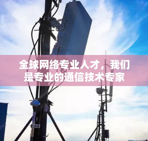 全球网络专业人才，我们是专业的通信技术专家