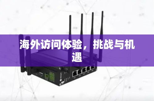 海外访问体验，挑战与机遇