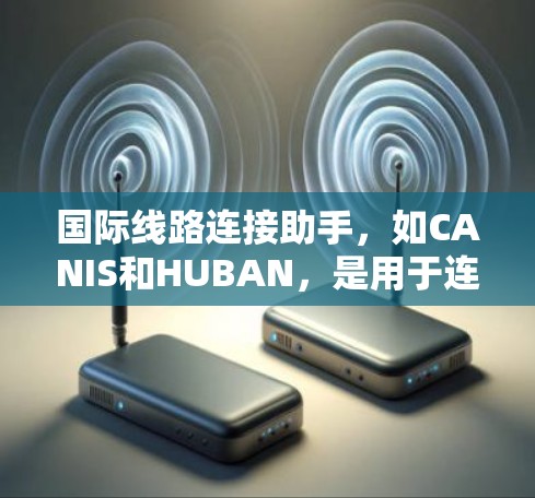 国际线路连接助手，如CANIS和HUBAN，是用于连接国际互联网的设备。以下是对这些助手的详细总结