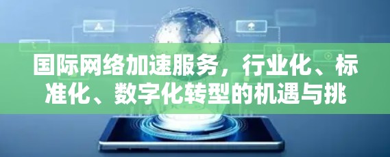 国际网络加速服务，行业化、标准化、数字化转型的机遇与挑战