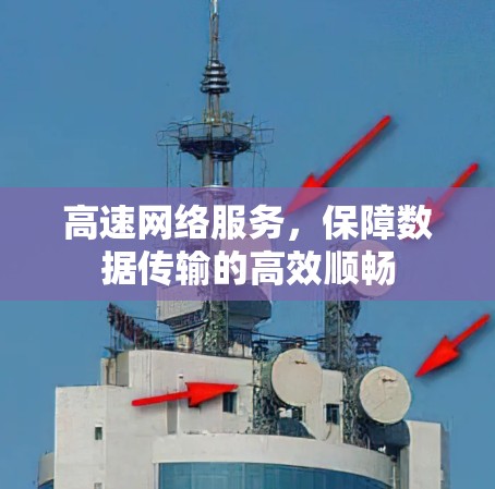 高速网络服务，保障数据传输的高效顺畅