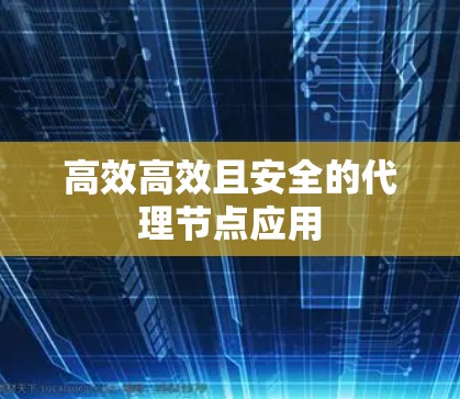 高效高效且安全的代理节点应用