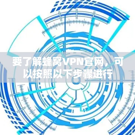 要了解蜂窝VPN官网，可以按照以下步骤进行