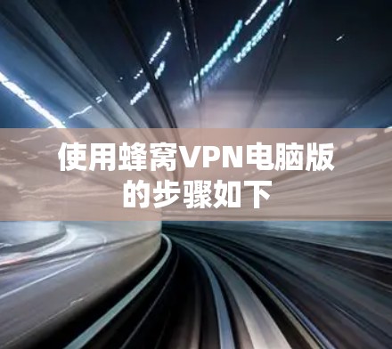 使用蜂窝VPN电脑版的步骤如下