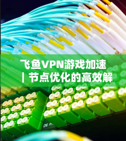 飞鱼VPN游戏加速｜节点优化的高效解决方案