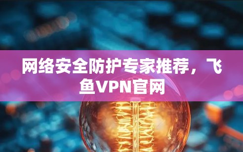 网络安全防护专家推荐，飞鱼VPN官网
