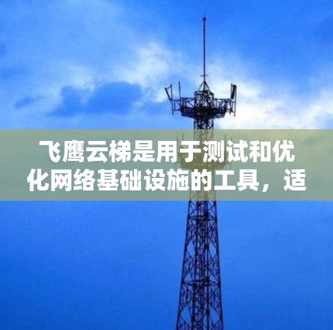 飞鹰云梯是用于测试和优化网络基础设施的工具，适合用于端到端测试、带负载测试、流量测试等场景。以下是详细的步骤和方法，帮助您进行飞鹰云梯测试