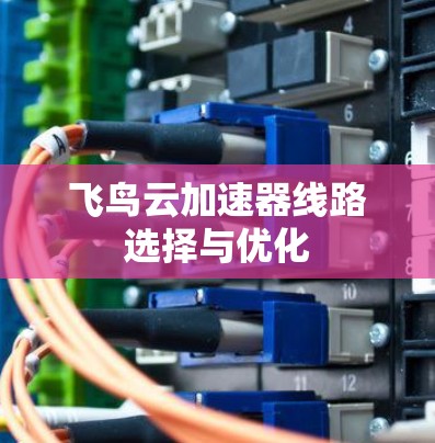 飞鸟云加速器线路选择与优化