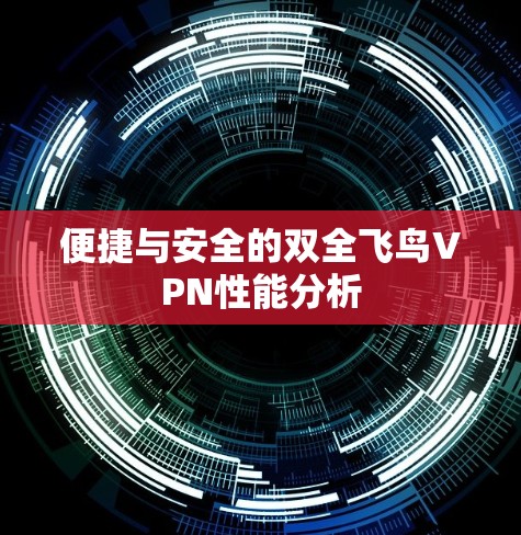 便捷与安全的双全飞鸟VPN性能分析