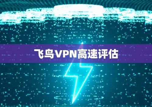 飞鸟VPN高速评估