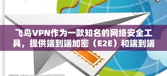 飞鸟VPN作为一款知名的网络安全工具，提供端到端加密（E2E）和端到端加密+端对端加密（E2S）两种加密方式，分别适合不同的用户需求。以下是飞鸟VPN的主要功能比较