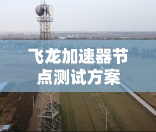 飞龙加速器节点测试方案