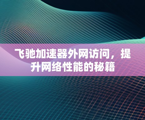 飞驰加速器外网访问，提升网络性能的秘籍