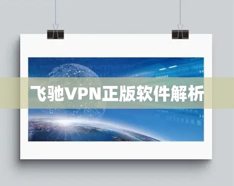 飞驰VPN正版软件解析