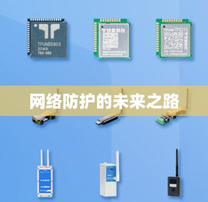 网络防护的未来之路