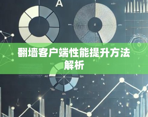 翻墙客户端性能提升方法解析