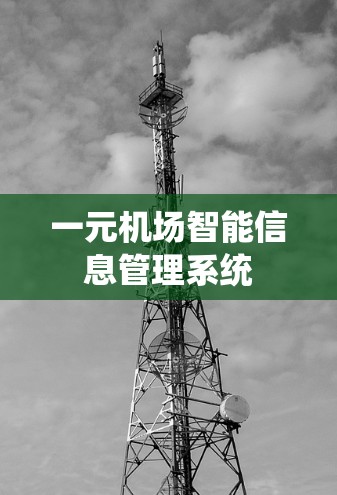 一元机场智能信息管理系统