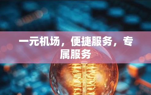 一元机场，便捷服务，专属服务