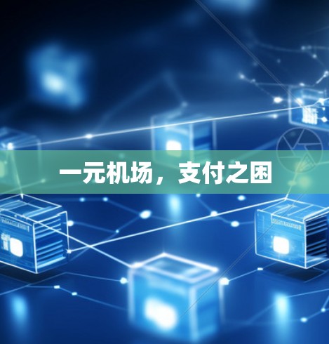 一元机场，支付之困