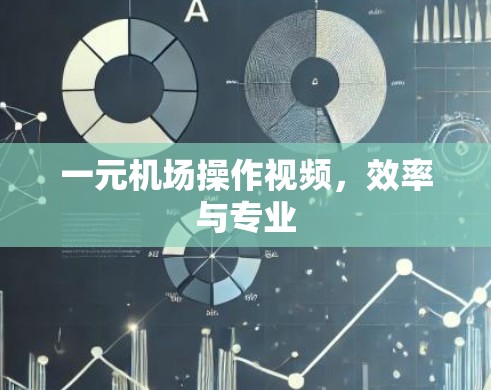 一元机场操作视频，效率与专业