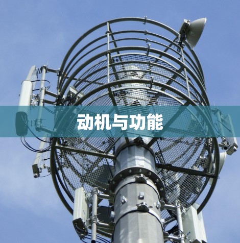 动机与功能