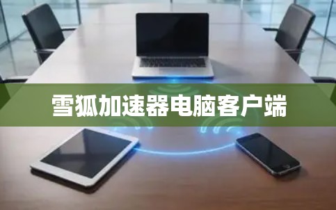 雪狐加速器电脑客户端