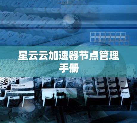 星云云加速器节点管理手册