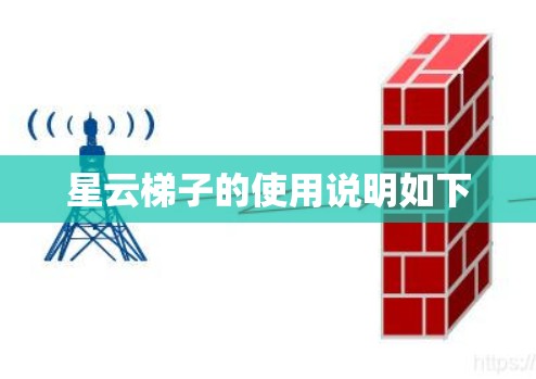 星云梯子的使用说明如下