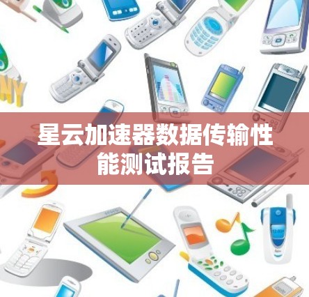 星云加速器数据传输性能测试报告