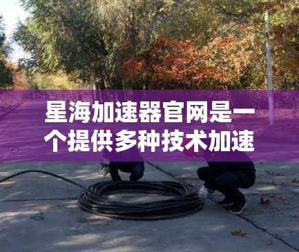 星海加速器官网是一个提供多种技术加速服务的科技平台，旨在帮助用户解决各种技术问题。以下是关于星海加速器官网的详细分析
