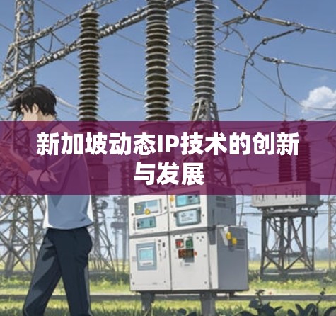 新加坡动态IP技术的创新与发展
