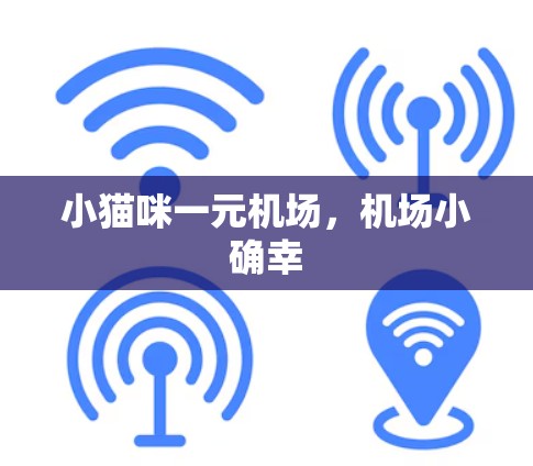 小猫咪一元机场，机场小确幸