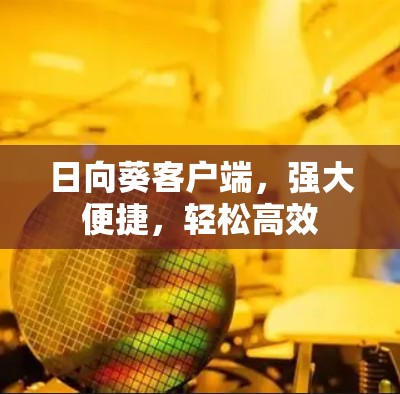 日向葵客户端，强大便捷，轻松高效