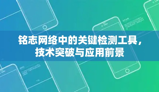 铭志网络中的关键检测工具，技术突破与应用前景