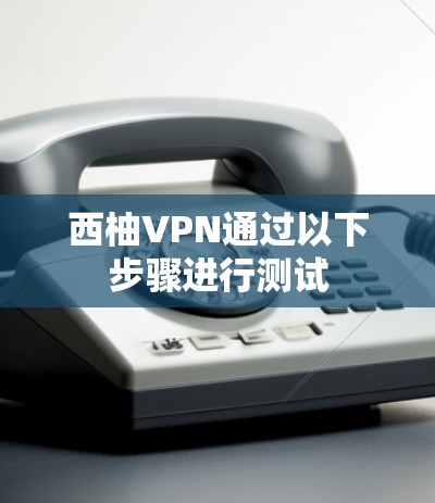 西柚VPN通过以下步骤进行测试